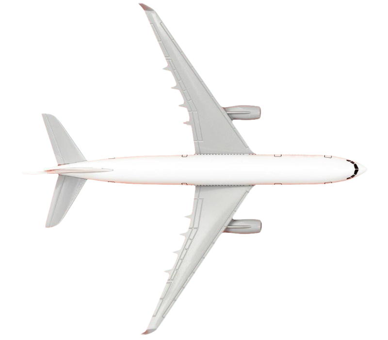 Customs Clearance plane